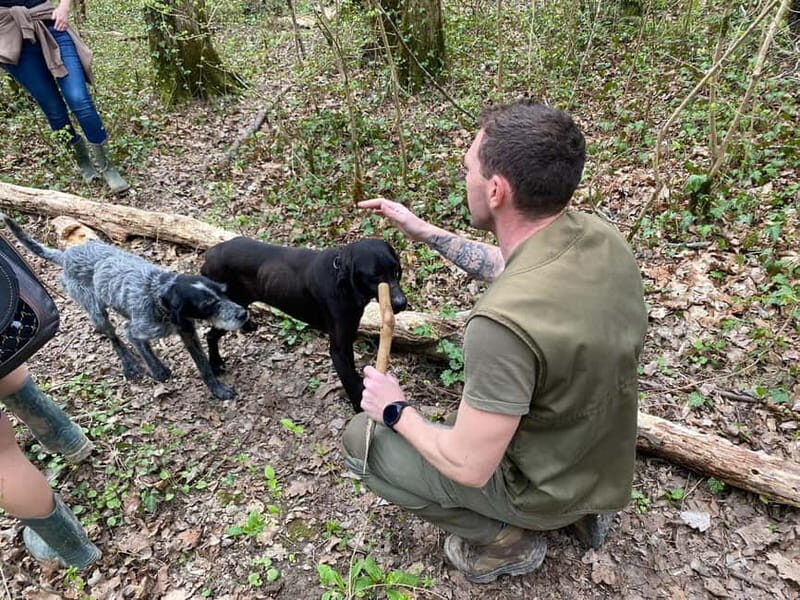 Livade: Guided Truffle Hunting Walking Tour - A Closer Look at the Truffle Hunting Tour