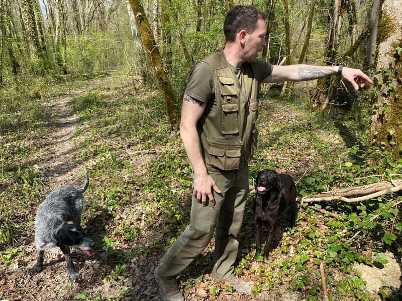 Livade: Guided Truffle Hunting Walking Tour - Frequently Asked Questions