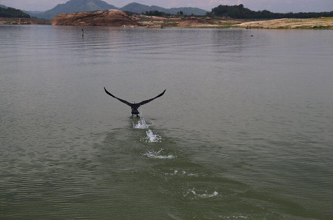 Live among swimming elephants and indigenous tribes  Gal Oya National Park - Conclusions: Is it worth it?