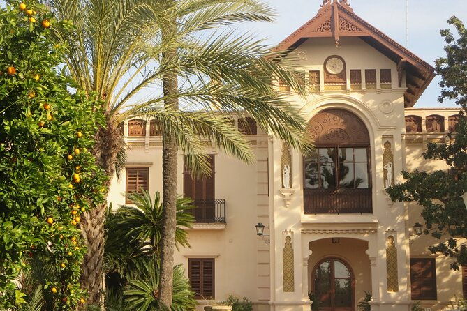 live-an-experience-among-orange-trees-in-huerto-ribera