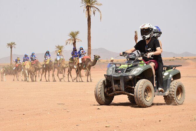 Live an unforgettable adventure, quad ride in the palm grove - What Makes This Tour a Great Value