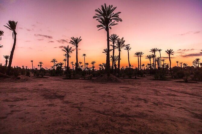 Live an unforgettable adventure, quad ride in the palm grove - Final Thoughts
