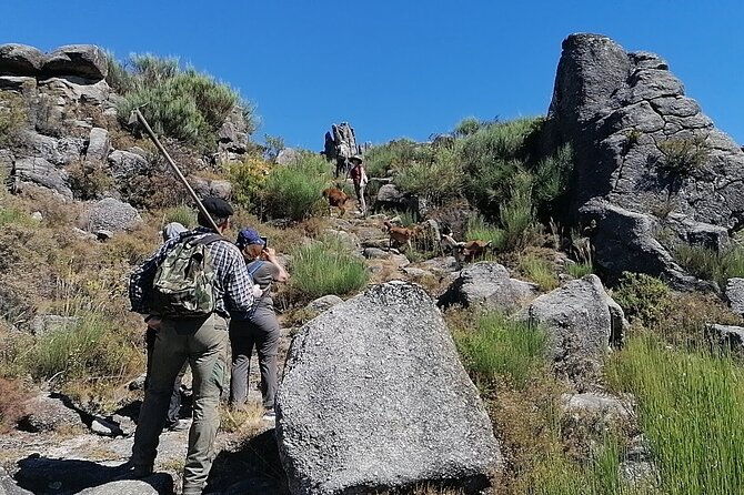 live-like-a-local-3-day-experience-in-geres-mountain-with-local-food-tasting