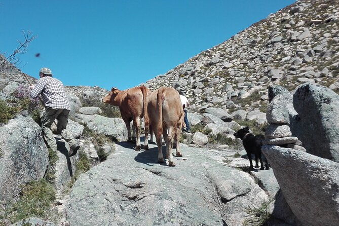 live-like-a-local-3-day-experience-in-geres-mountain-with-local-food-tasting