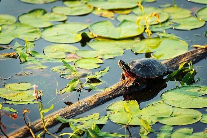 live-the-best-10-attractions-in-alter-do-chao