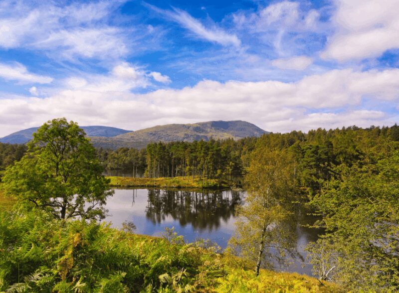 Liverpool: Lake District Tour with Lake Cruise & Train Ride - In-Depth Look at the Tour Experience