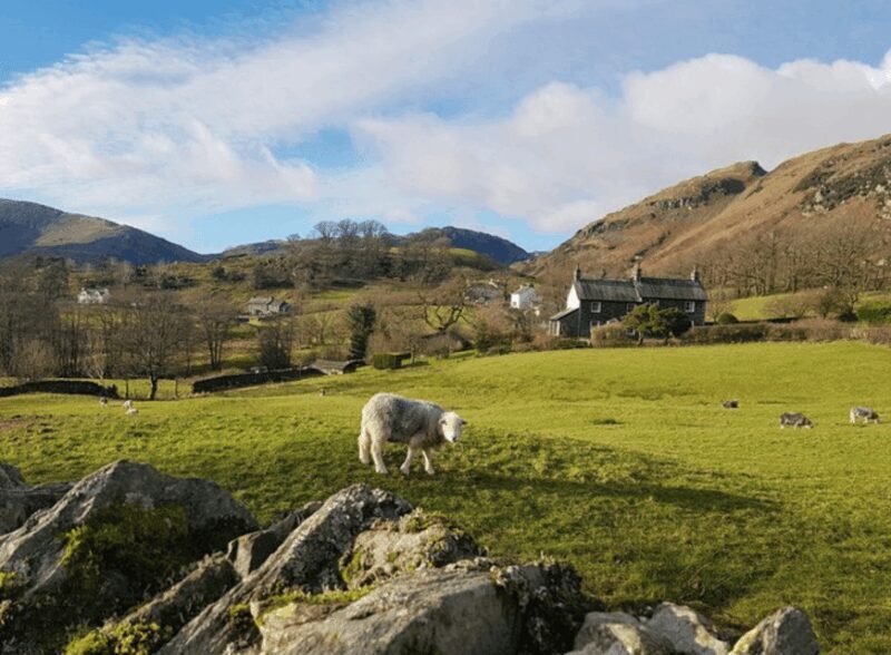 Liverpool: Lake District Tour with Lake Cruise & Train Ride - Authentic Experiences from Past Travelers