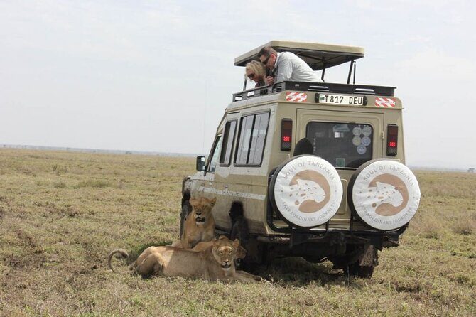 Living Among Lions - Detailed Breakdown of the Itinerary