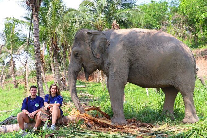 Living Green Elephant Sanctuary Tour from Bangkok and Pattaya - An Honest Look at the Sanctuary Experience