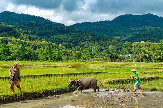 Living Land Experience and Kuang Si water with Lunch - The Experience: Authentic, Well-Organized, and Scenic