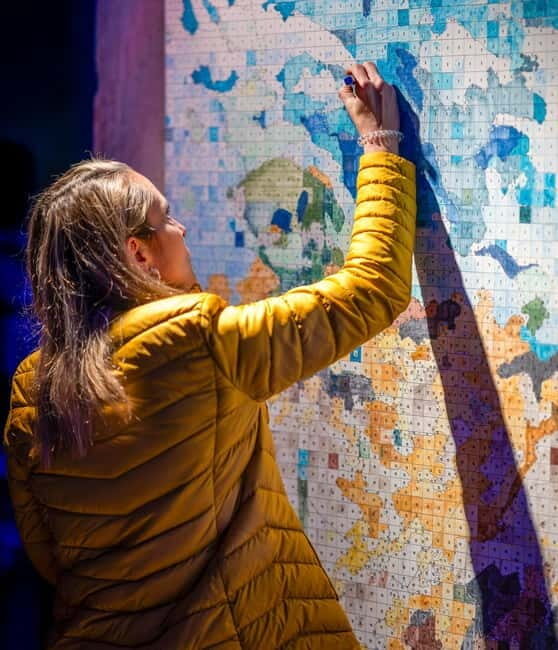 Living van Gogh The Immersive & Interactive Experience - Final Thoughts