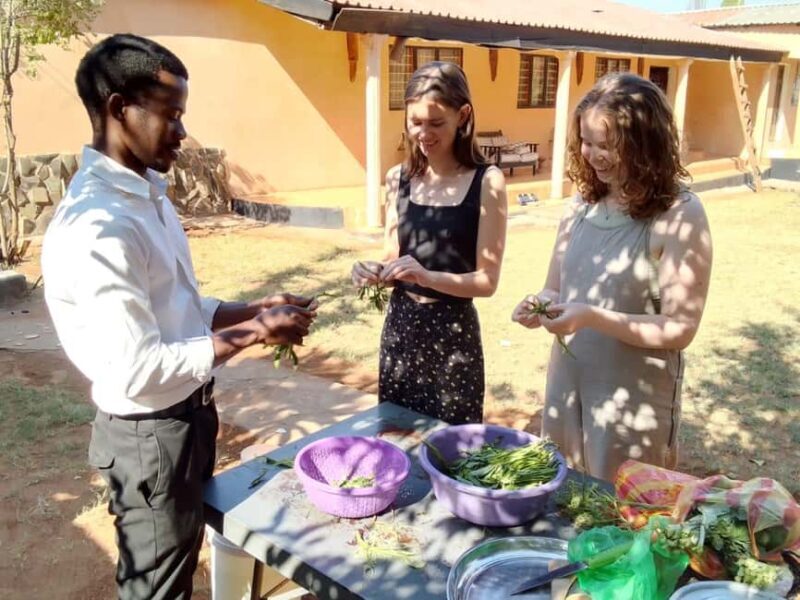 Livingstone: African Foods Cooking Tour with Lunch - Key Points
