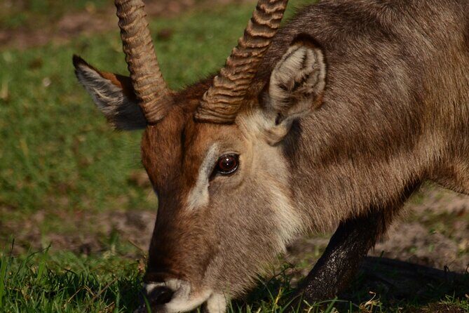 Livingstone Game Park Safari - Final Thoughts