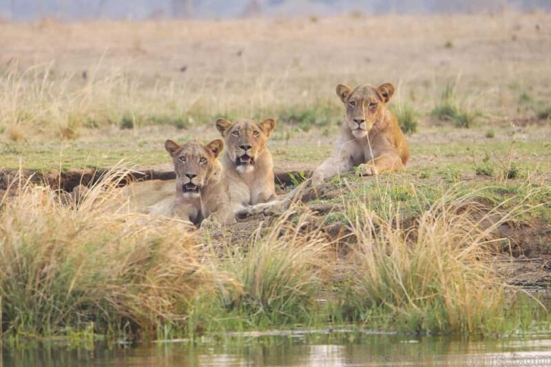 Livingstone: Lochinvar National Park Birdwatching Adventure - The Journey Begins: Livingstone to Monze and Beyond