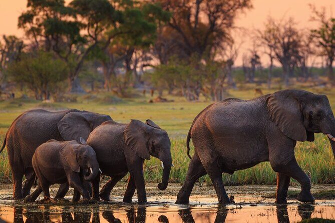 Livingstone to Vic-falls airport - An In-Depth Look at the Experience