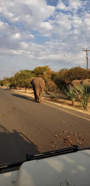 LIVINGSTONE ZAMBIA:SAFARI GAME DRIVE & RHINO WALK - Is This Tour Right for You?