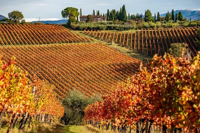 Livorno Shore Excursion: Chianti and Tuscany Countryside Private Wine Tour - Authenticity & Local Flavor