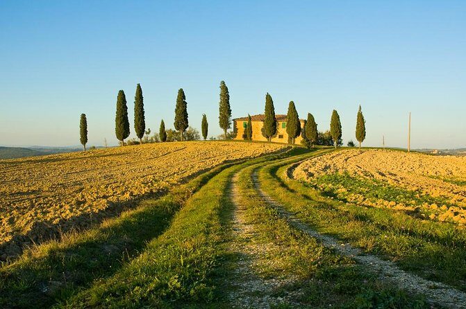 Livorno Shore Excursion: Chianti and Tuscany Countryside Private Wine Tour - Who Should Consider This Tour?