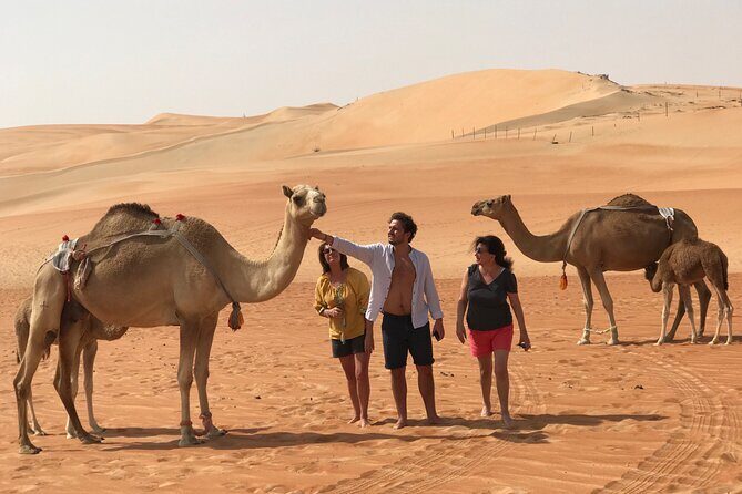 Liwa Full Day Desert Safari (exploring) - Introduction: The All-Round Desert Adventure