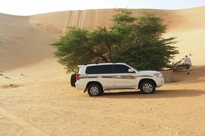 Liwa Full Day Desert Safari from Abu Dhabi - Key Points
