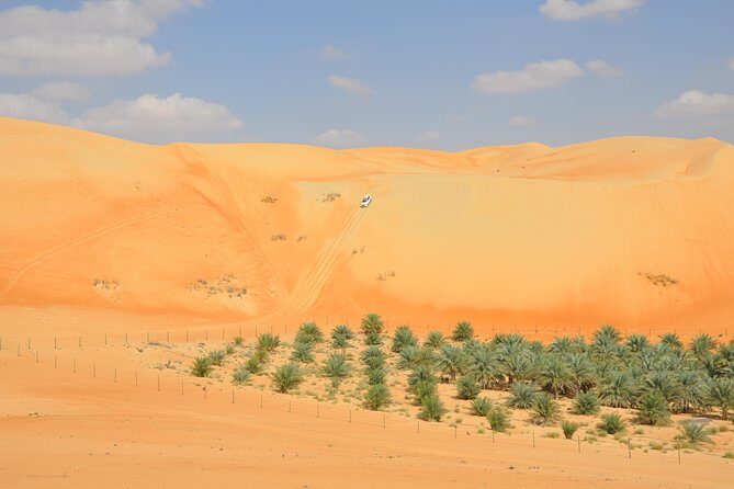Liwa Full Day Desert Safari from Abu Dhabi - The Itinerary and What You Can Expect