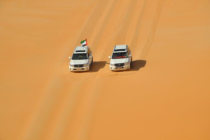 Liwa Full Day Desert Safari from Abu Dhabi - Who Is This Tour Best Suited For?