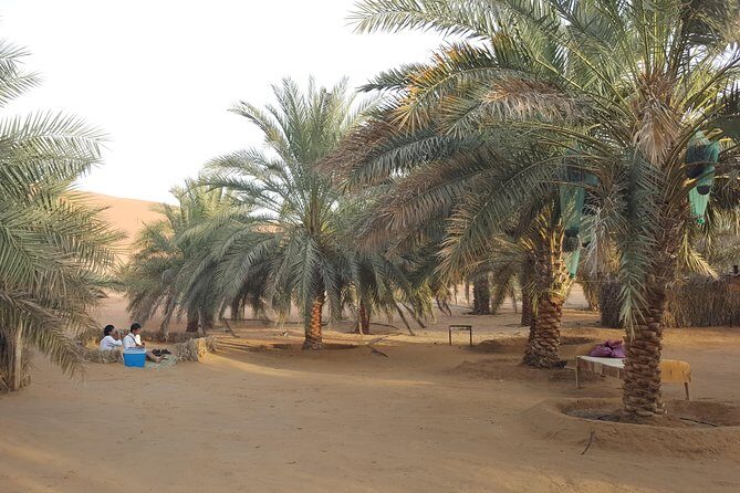 Liwa Oasis Desert Drive from Abu Dhabi - Practical Tips for Your Desert Drive
