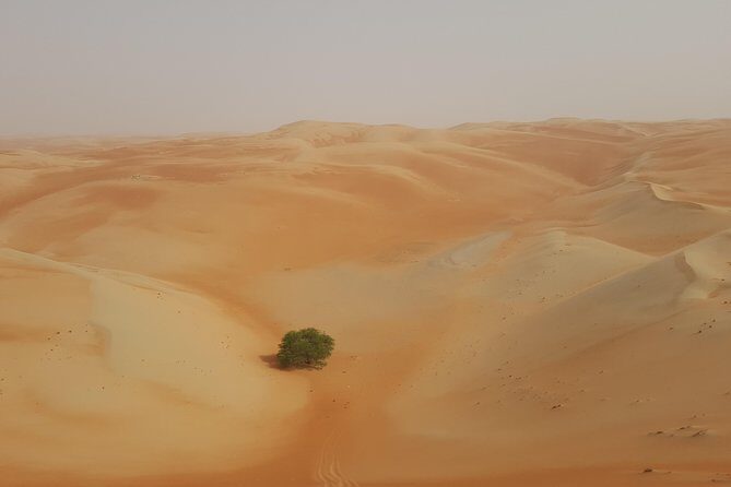 Liwa Oasis Desert Drive from Abu Dhabi - Frequently Asked Questions