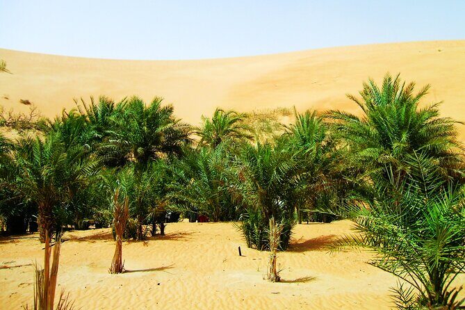 Liwa Over Night Safari - Final Words
