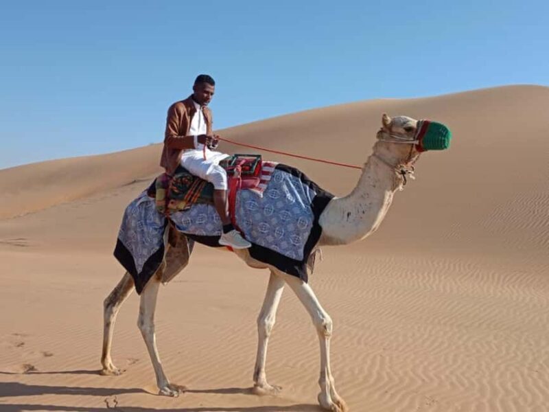 Liwa: Traditional Desert Camel Ride Adventure - Important Details and Practical Tips