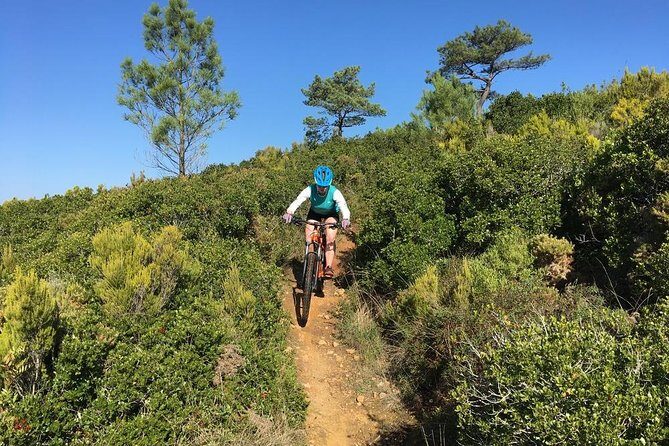 Lizandro Trails - Mountain Biking - The Experience: What You Can Expect