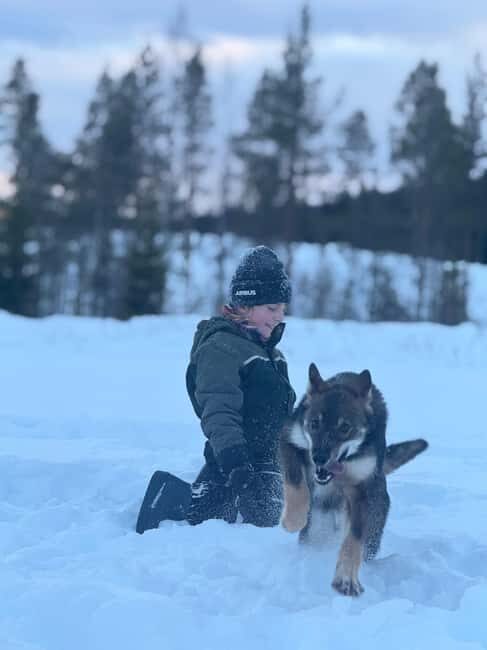 Ljørdalen-Trysil: Bergli Husky Kennel Visit - Key Points