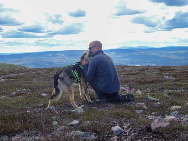 Ljørdalen - Trysil: Husky Hike with Campfire and lunch! - Exploring the Husky Hike Experience