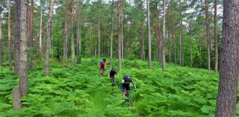 ljubljana-city-center-and-golovec-trails-mountain-bike-tour