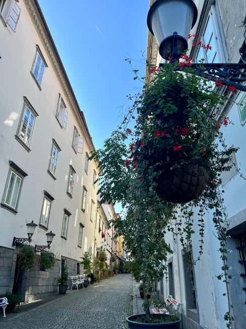 Ljubljana Historic Old Town  Private & Family-Friendly Tour - The Sum Up