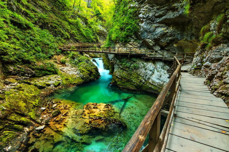 ljubljana-lake-bled-triglav-national-park-full-day-trip
