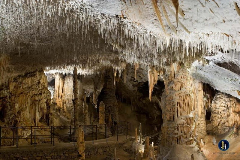 Ljubljana: Postojna Cave and Predjama Castle Tour - An In-Depth Look at the Tour Experience