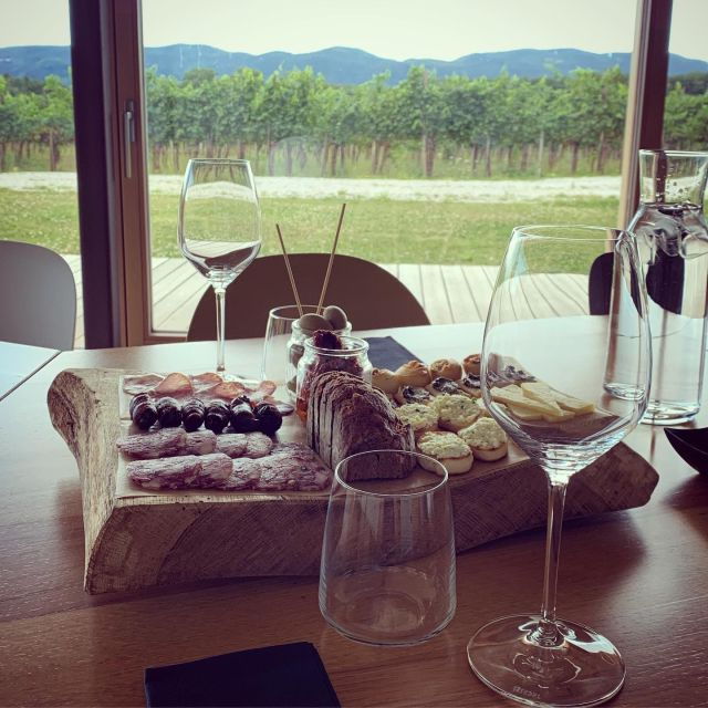ljubljana-private-family-owned-vineyard-wine-tasting-trip
