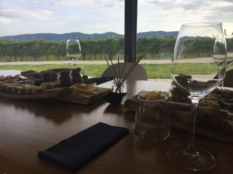 ljubljana-private-family-owned-vineyard-wine-tasting-trip