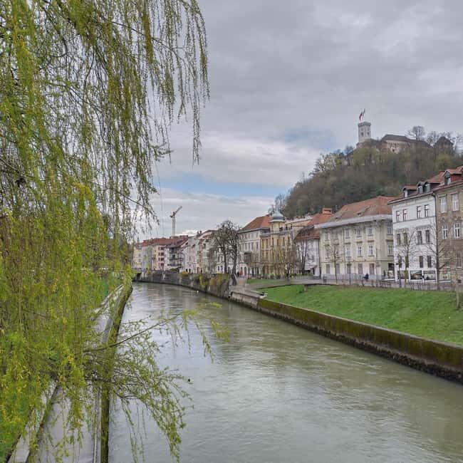 Ljubljana: Private Guided City Tour - Who Would Enjoy This Tour?