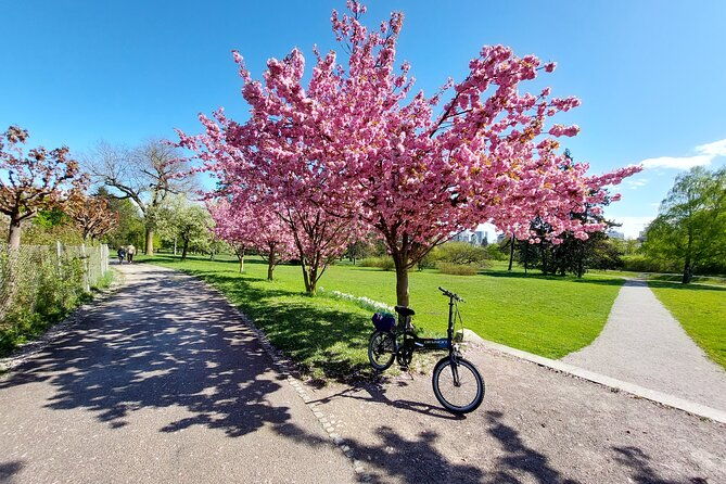 ljubljana-sightseeing-tour-by-electric-bikes