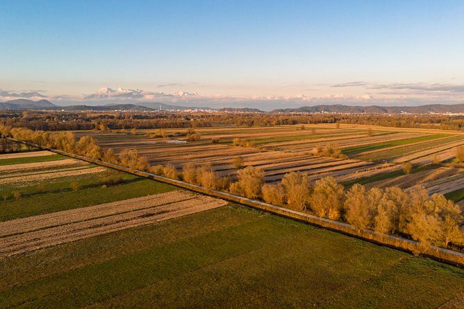 Ljubljana's Marshes Cycling Tour - In-Depth Look at the Tour Experience