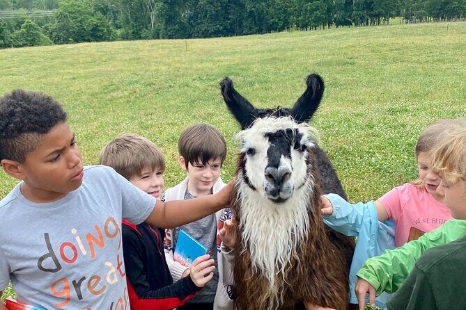 Llama/Alpaca Hike and Farm Tour - FAQ