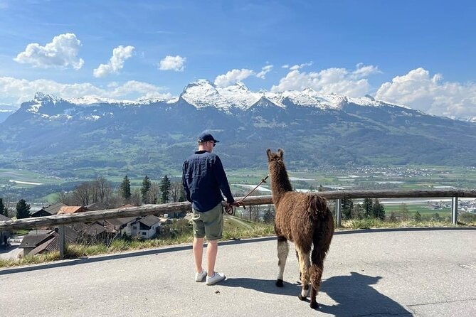 llama-hike-with-homemade-traditional-cheese-fondue