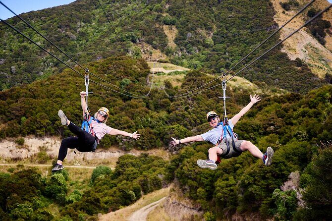Llama Trek (Half-day) - Kaikoura Bay, Beaches & Seal Colony - Authentic Encounters You Can Expect