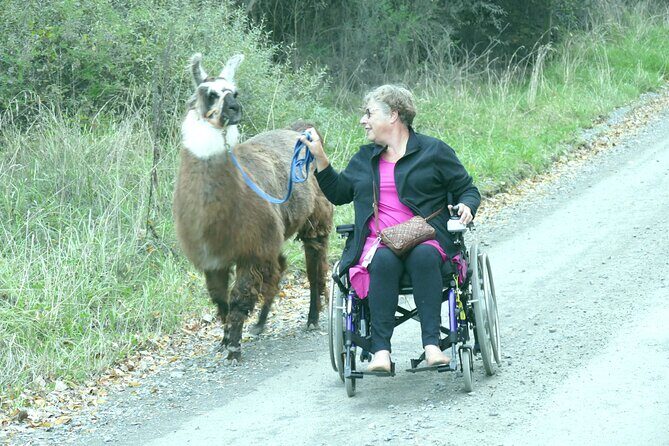 Llama Trek (Taster) - Kowhai River Valley and Native Woodland Tour - Who Should Consider This Experience?