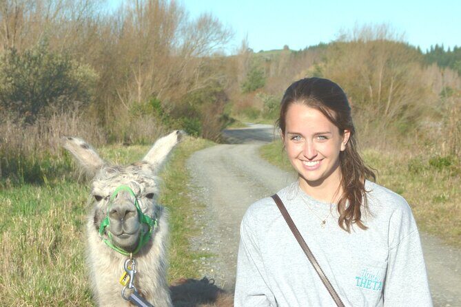 Llama Trek (Taster) - Kowhai River Valley and Native Woodland Tour - Final Thoughts