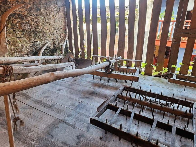 Llanes and Ethnographic Museum Eastern Asturias Tour - Price and Value