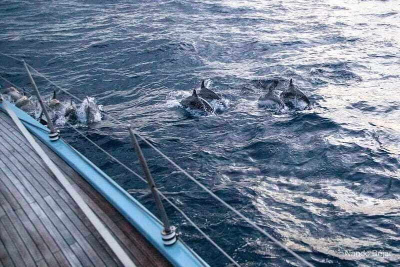 Lloret De Mar: Exclusive private sailing cruise - Who Will Love This Tour?