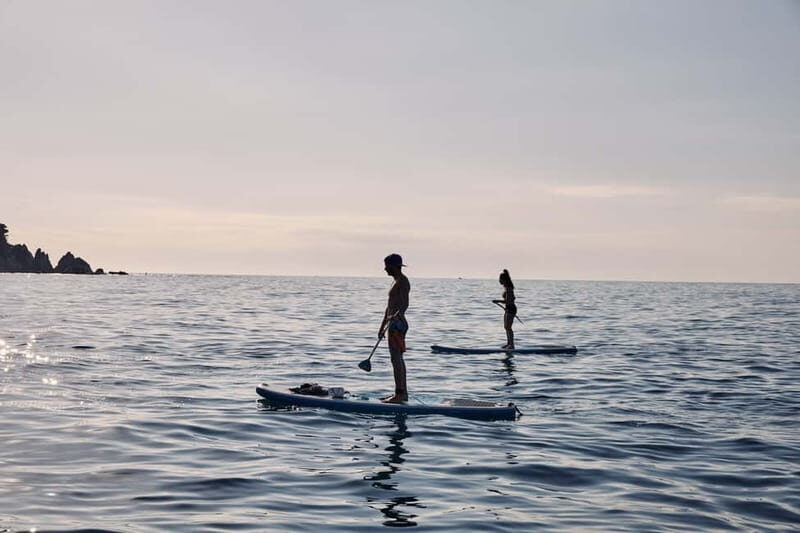 Lloret de Mar: Sunrise Paddle Board Ride with Instructor - Who Would Love This Experience?